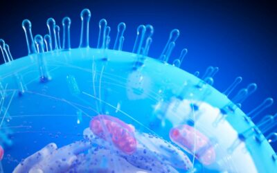 Glutathione IV Therapy Most Common FAQs We Hear